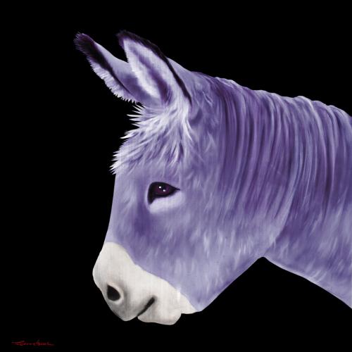 PTIT ANE LAVANDE donkey Showroom - Inkjet on plexi, limited editions, numbered and signed. Wildlife painting Art and decoration. Click to select an image, organise your own set, order from the painter on line